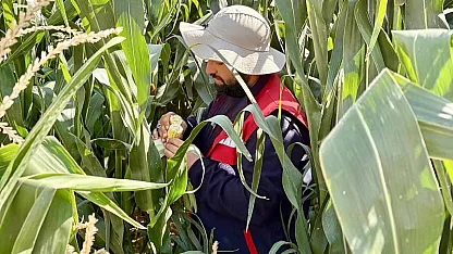 Afyonkarahisar'da Tarım Arazilerinde Saha Kontrolleri Sürüyor