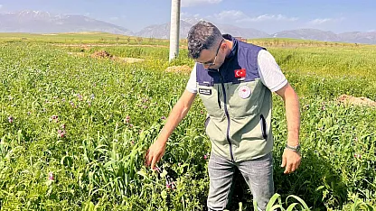 Afyonkarahisar'da Tarımsal Araziler Kontrol Altında