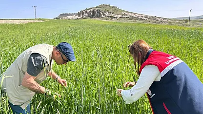 Afyonkarahisar Genelinde Üretim Sezonu İzleniyor