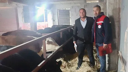 İthal Hayvanlar Yakın Takibe Alındı!