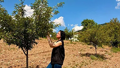 Şuhut'ta Vişne Bahçeleri Kontrol Edildi