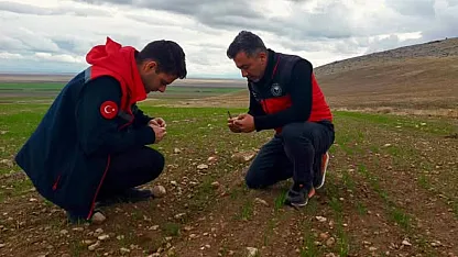 Sultandağı İlçesinde Bitki Sağlığı Kontrolleri Tamamlandı