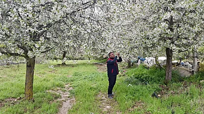 Zirai Don Uyarısı Yapılan Bölgelerde Hasar Tespit Çalışması Yapıldı