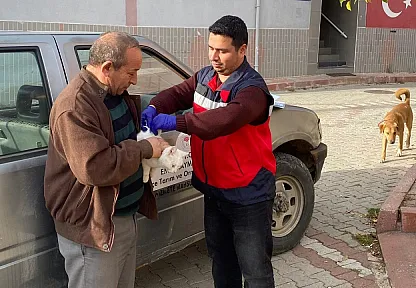 Emet'te Sahipli Kedi Ve Köpeklere Mikroçip Ve Kuduz Aşısı Uygulaması