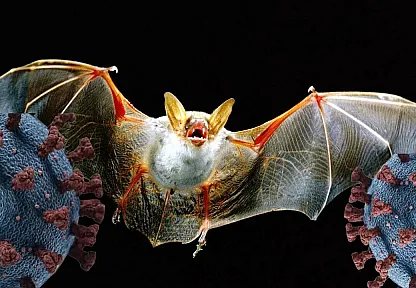 Nipah Virüsü Nedir? Nipah Virüsü Belirtileri Neler?