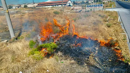 Afyon'da Yol Kenarında Anız Yangını! Sürücüler Zor Anlar Yaşadı