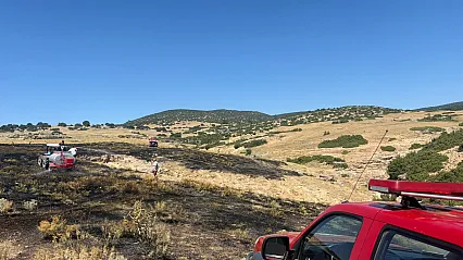 Anız Yangını Ormanlık Alana Sıçramadan Söndürüldü