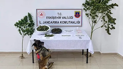 Eskişehir Tepebaşı'nda Uyuşturucu Operasyonu: 1 Şüpheli Tutuklandı