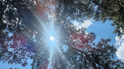 Hava Durumunda Sıcaklık Farkı Dikkat Çekiyor