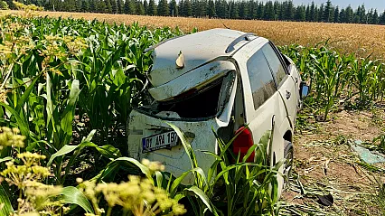 Kargo Aracı Otomobille Çarpıştı: 5 Yaralı