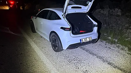Önüne Aniden Çıkan Köpeğe Duramayarak Çarptı