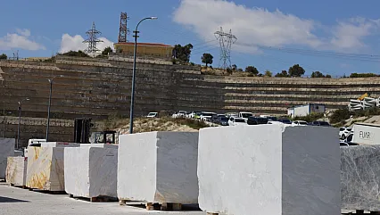 20 Bin Hektarlık Dev Proje