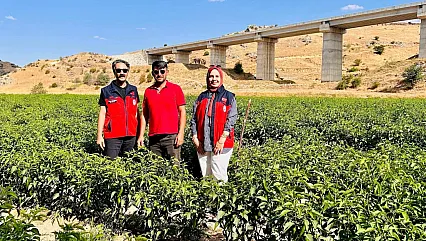 Afyon'da Tarımda Yeni Ürün Hamlesi!