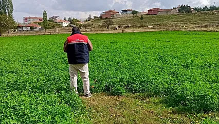 Afyon'da Tarlalar Uydu Verileriyle Takip Ediliyor!