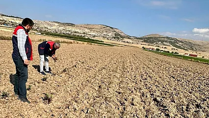 Bolvadin'de Tarım Arazileri Tespit Çalışması Sürüyor