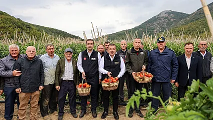 Domates Hasadında Rekolte Dikkat Çekti
