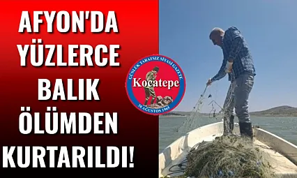 Afyon'da Yüzlerce Balık Ölümden Kurtarıldı!
