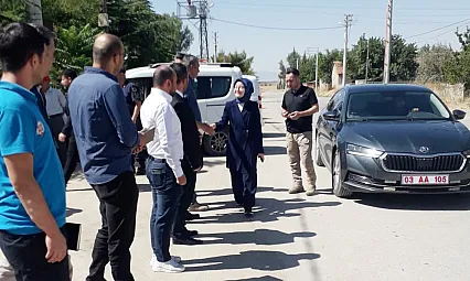 Köyden Gelen Talep: Hasta Görünümlü Sahipsiz Köpekler Toplansın