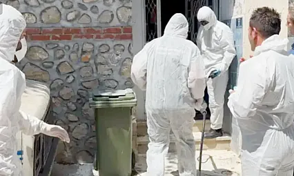 Mahalleyi Pire Bastı, O Hayvanlara Operasyon Yapıldı