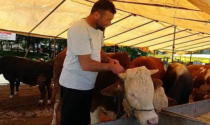 Ülke genelinde tüm hayvan pazarları kapatıldı