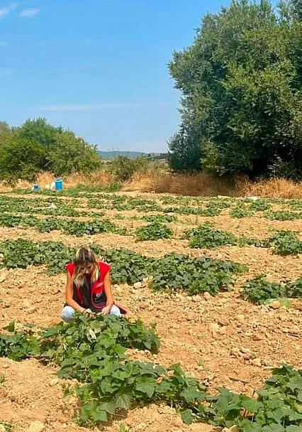 Dazkırı'da Alternatif Ürünler İçin Saha Çalışması
