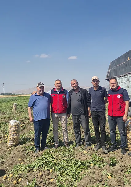 Dinar'da Patates Hasadı Başladı