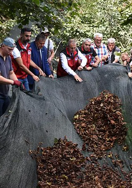 Fındık Hasat Filesi Maliyetleri Yüzde 80 Azaltıyor