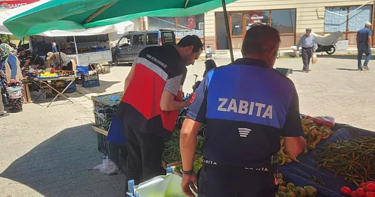 Gıda Denetimi