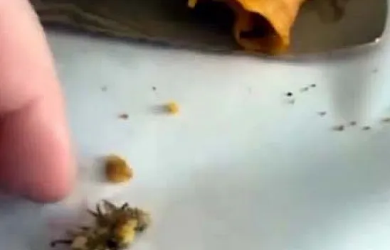 Afyon'da Mide Bulandıran İddia! Vatandaş Neye Uğradığını Şaşırdı