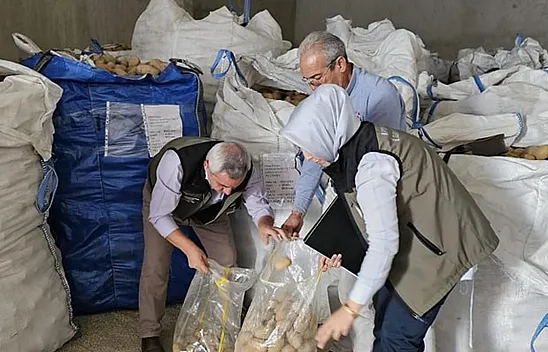 Afyonkarahisar'da Tunus'a 132 Ton Patates İhracatı Yapıldı