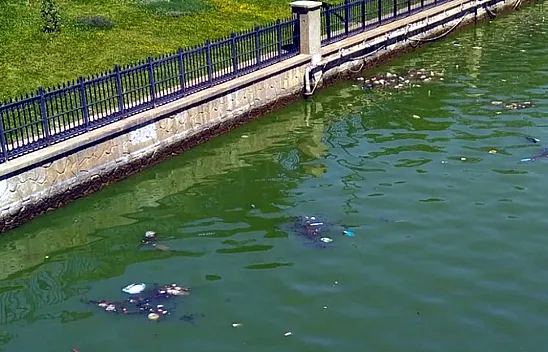 Akarçay'da Kirlilik ve Bakımsızlığın Sorumluluğu Belediye'de