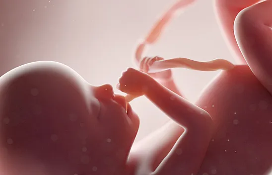 Bebek Yerleşirken Ne Gibi Belirtiler Olur?