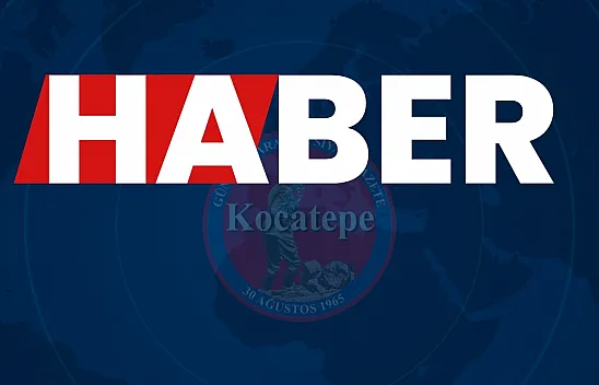 Tavuklar döviz yumurtluyor – Kocatepe Gazetesi