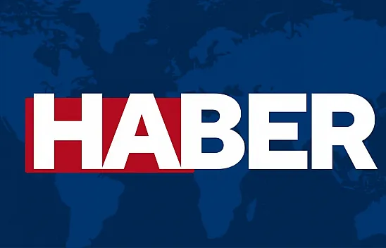 Dolmuş Şoförü Aracından İnen Yolcuları Ezdi