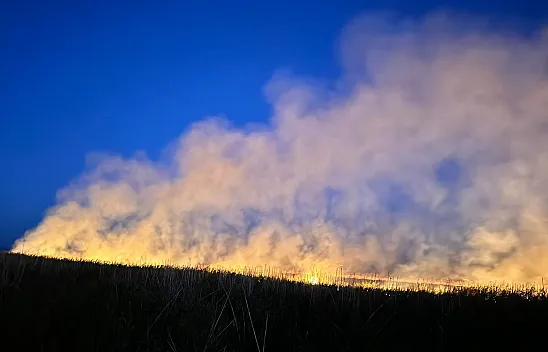 Eber Gölü'nde Yine Yangın: 9 Dönüm Alan Zarar Gördü