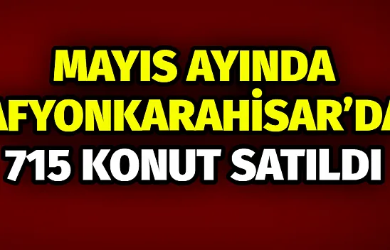 Mayıs Ayında Afyonkarahisar'da 715 Konut Satıldı
