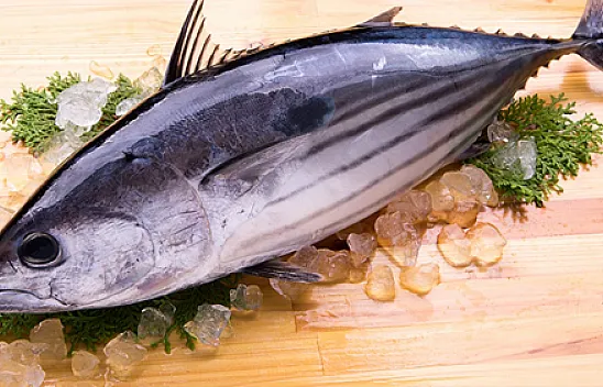 Palamut Balığının Faydaları Nelerdir?