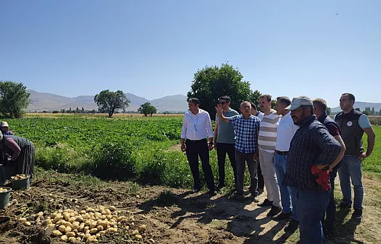 Patateste aşırı yağışlardan dolayı rekolte kaybı yaşandı