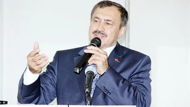 1 milyondan fazla fidan toprakla buluşacak