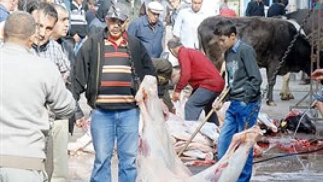 10 noktada kurban kesilecek