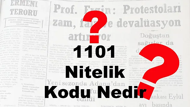 1101 Nitelik kodu Nedir?