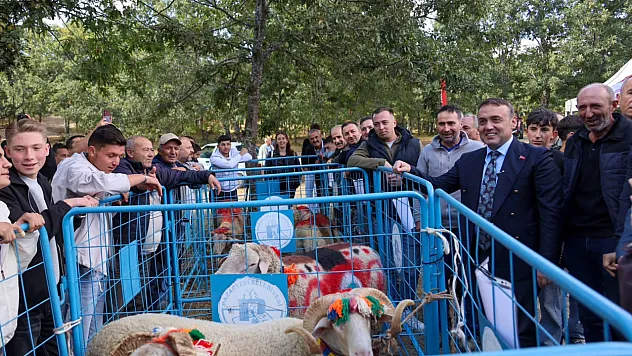 166 Bin Küçükbaş İçin Koç Katım Dönemi Başladı