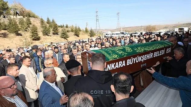 Osman Paşa’yı yalnız bırakmadılar