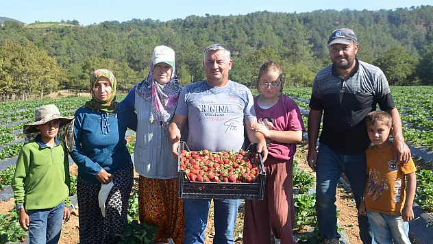 25 Yıl Yaptıkları İşi Yürütemediler, Son Çare Olarak Bunu Buldular