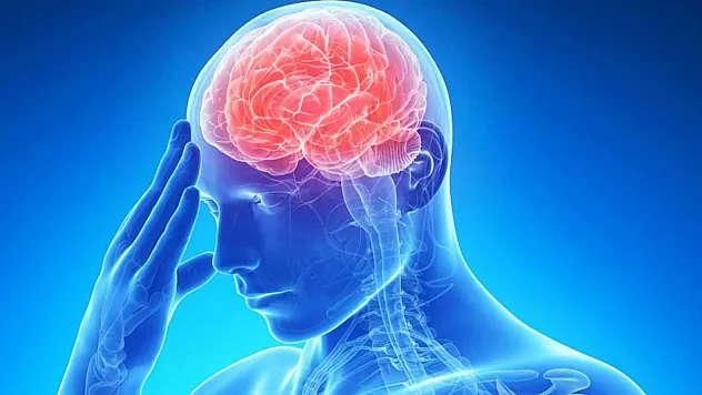 29 Ekim Dünya İnme Günü: İnmede Erken Müdahale Önem Taşıyor