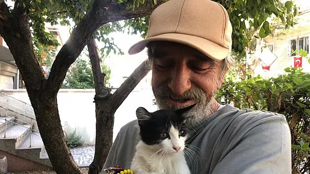 30 Yıldır Sokak Kedilerine Kapısını Açıyor