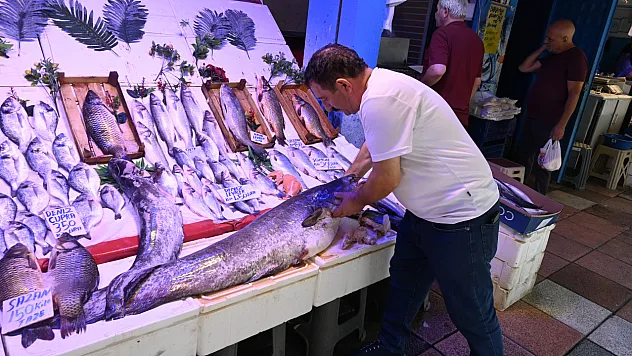 40 Kiloluk Yayın Balığını Görenler 'Canavar Gibi' Diyor