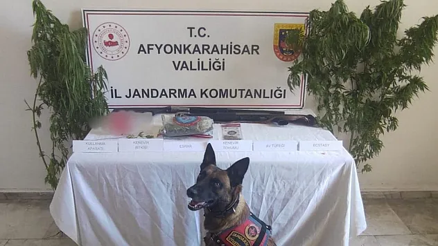55 Gram Esrar Ve 5 Kök Kenevir Ele Geçirildi