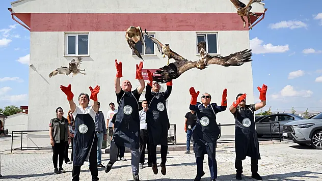 Afyon'da 23 Yaban Hayvanı Hayata Tutundu!