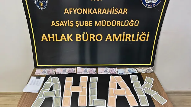 Afyon'da Asayiş Alarmı: Kumar, Fuhuş ve Hırsızlık Operasyonları